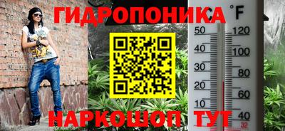 гидропоника Ирбит