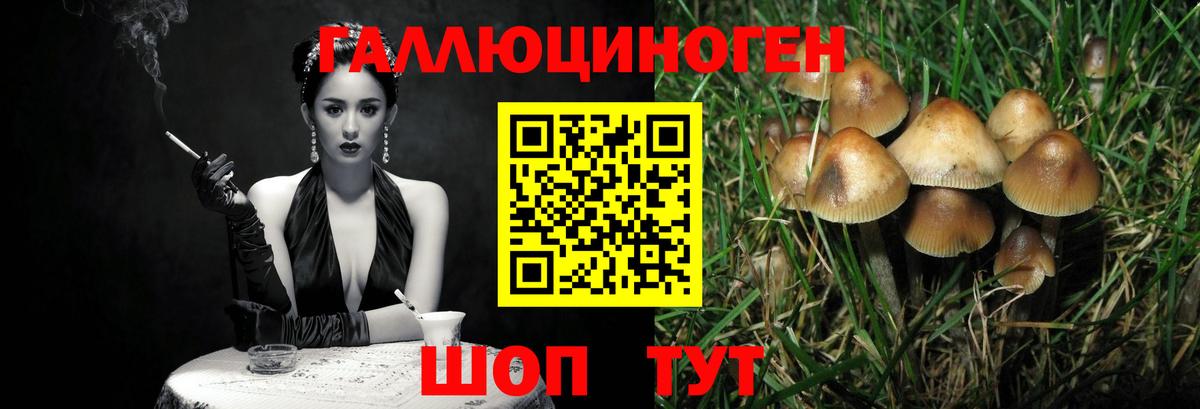 Галлюциногенные грибы Cubensis Златоуст