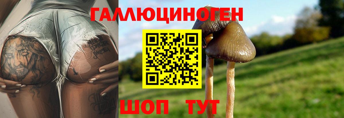 Псилоцибиновые грибы Psilocybe  Вход с VPN  Псилоцибиновые грибы прущие грибы  Златоуст 